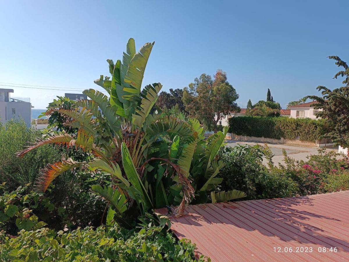 Ferienhaus_Familykrausz Perivolia Bagian luar foto